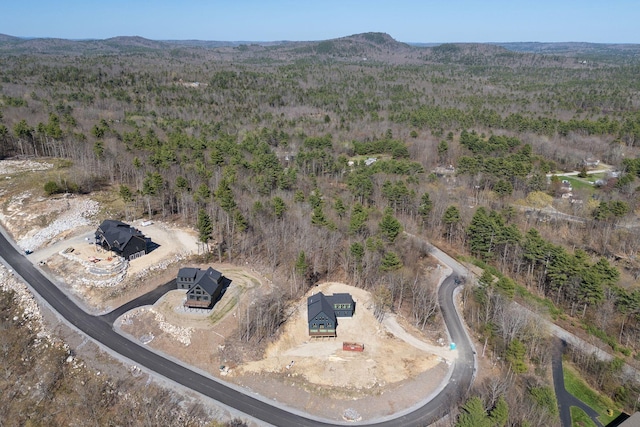 19 Sky Ridge Dr, Casco, ME 04015 - photo 11