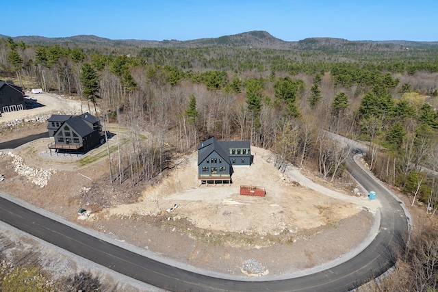 19 Sky Ridge Dr, Casco, ME 04015 - photo 12