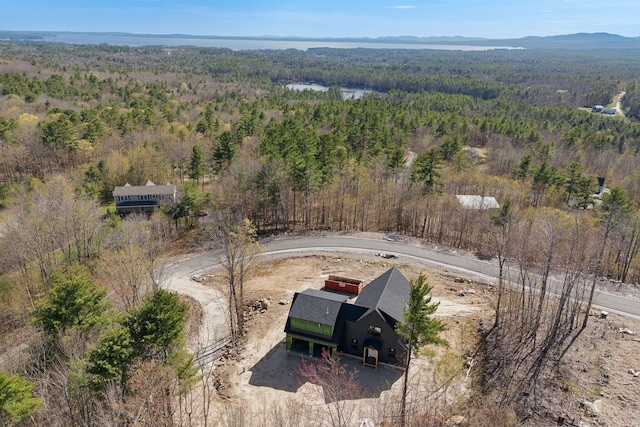 19 Sky Ridge Dr, Casco, ME 04015 - photo 14