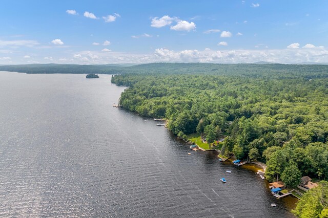 224 Ledges Rd S, Naples, ME 04055 - photo 98