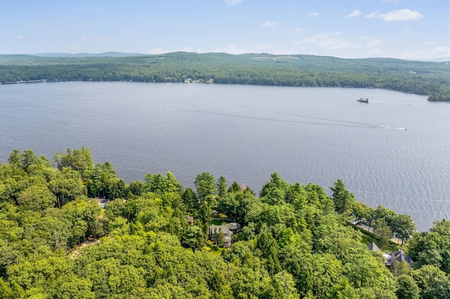 224 Ledges Rd S, Naples, ME 04055 - photo 99
