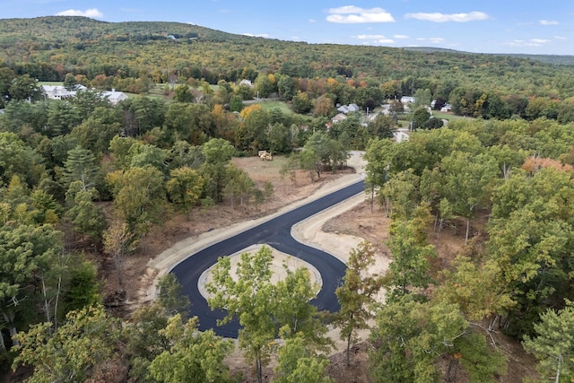 TBD Ridge Ter Lot 7, North Berwick, ME 03906 - photo 1