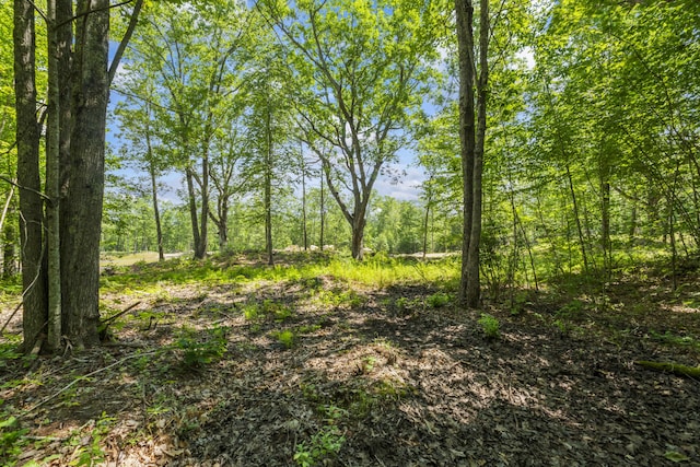 TBD Ridge Ter Lot 7, North Berwick, ME 03906 - photo 3