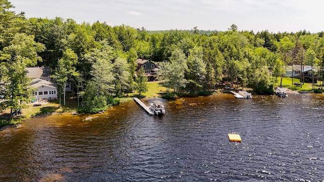 52 Ludden Ln, Lincoln, ME 04457 - water view featuring a boat dock