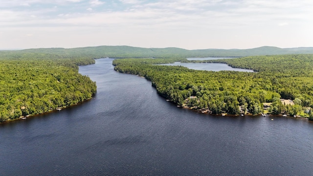 52 Ludden Ln, Lincoln, ME 04457 - bird's eye view of a heavily wooded area and a water and mountain view