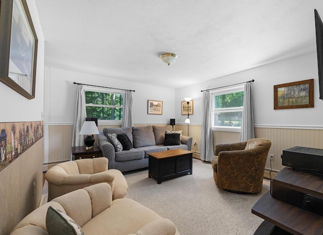 52 Ludden Ln, Lincoln, ME 04457 - carpeted living room with wainscoting and a baseboard radiator