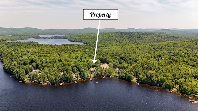 52 Ludden Ln, Lincoln, ME 04457 - aerial view of a heavily wooded area and a water and mountain view