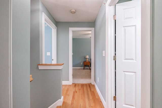 8 Farrington Rd, Gorham, ME 04038 - photo 36