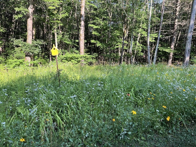 9 Rusty Bucket Ln, Kennebunk, ME 04043 - photo 9