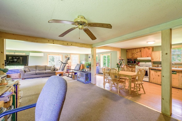 672 Brooks Rd, Knox, ME 04986 - dining room with healthy amount of natural light, a wall unit AC, ceiling fan, and a textured ceiling