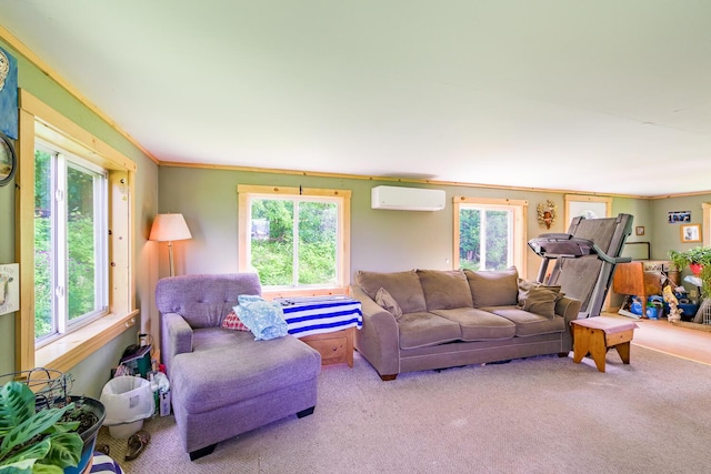 672 Brooks Rd, Knox, ME 04986 - living area with a wall mounted air conditioner, plenty of natural light, carpet flooring, and ornamental molding