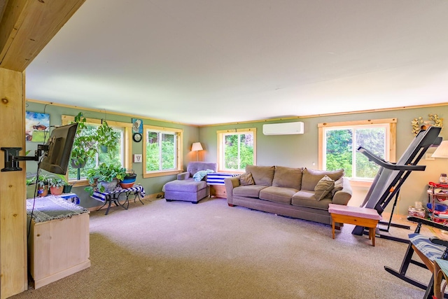 672 Brooks Rd, Knox, ME 04986 - living area with carpet flooring, plenty of natural light, and a wall mounted air conditioner