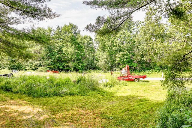 672 Brooks Rd, Knox, ME 04986 - view of yard with a view of trees