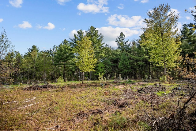 138 Main St, Brownfield, ME 04010 - view of tree filled area