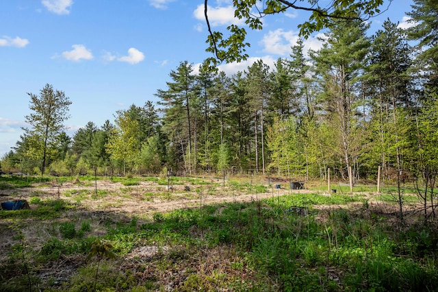 138 Main St, Brownfield, ME 04010 - view of woods