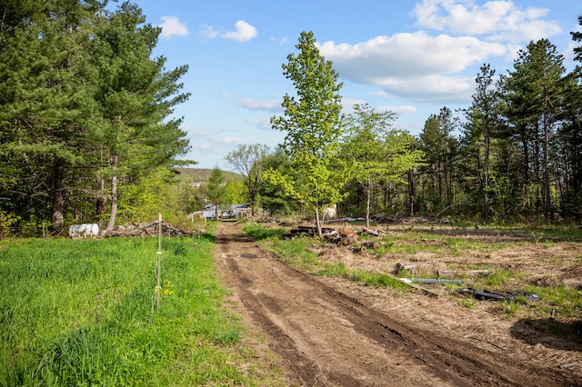 138 Main St, Brownfield, ME 04010 - view of dirt / gravel road