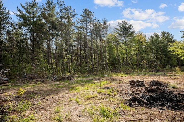 138 Main St, Brownfield, ME 04010 - view of wooded area