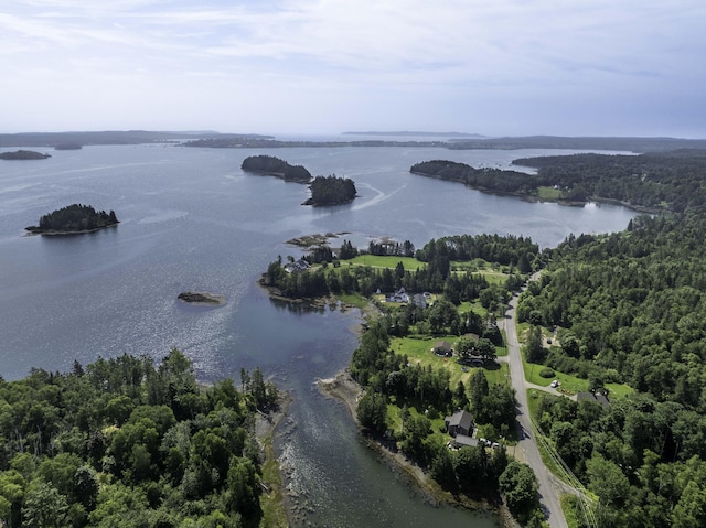 585 N Lubec Rd, Lubec, ME 04652 - bird's eye view of a large body of water and a forest