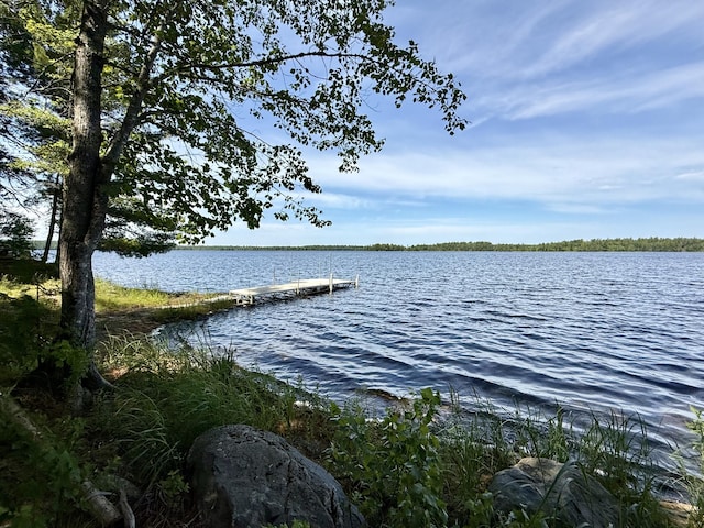 50 Call Of The Loon Ln, Princeton, ME 04694 - photo 3