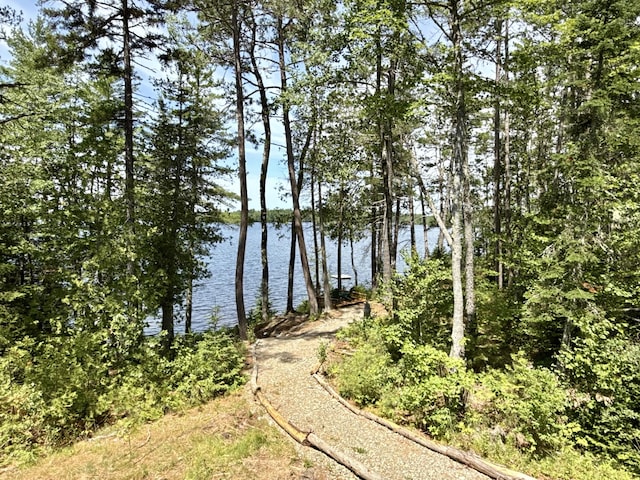 50 Call Of The Loon Ln, Princeton, ME 04694 - photo 36