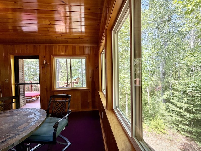 50 Call Of The Loon Ln, Princeton, ME 04694 - photo 45