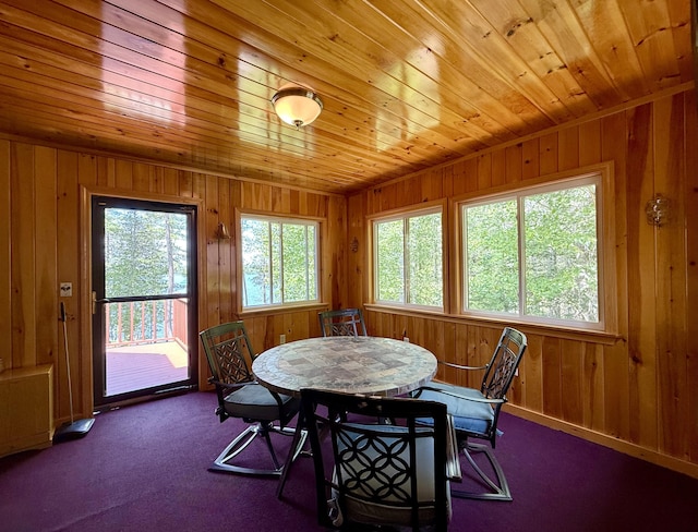 50 Call Of The Loon Ln, Princeton, ME 04694 - photo 43
