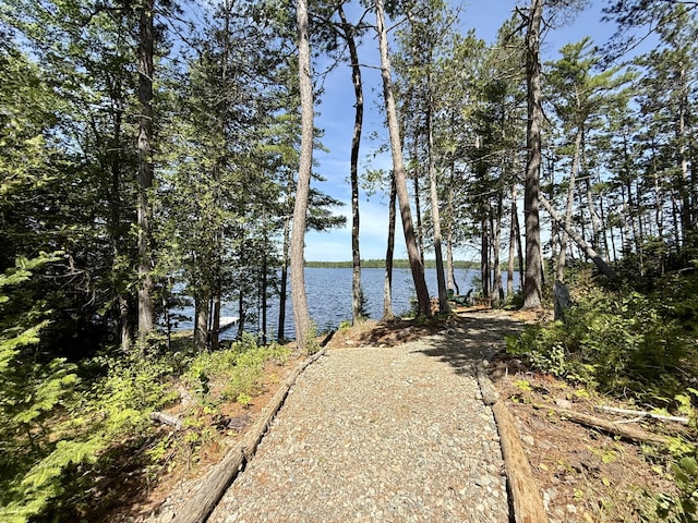 50 Call Of The Loon Ln, Princeton, ME 04694 - photo 69