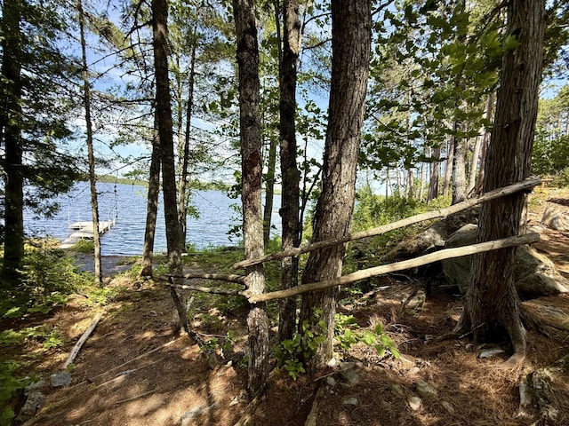 50 Call Of The Loon Ln, Princeton, ME 04694 - photo 71