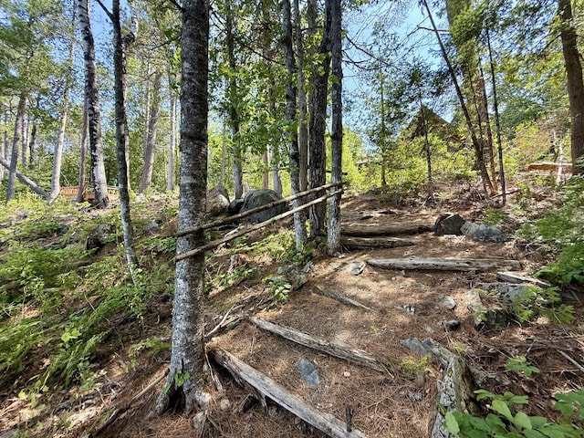 50 Call Of The Loon Ln, Princeton, ME 04694 - photo 72