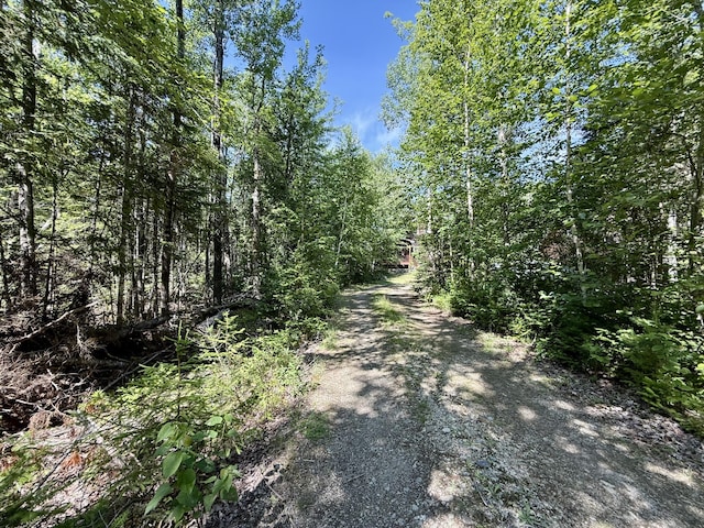 50 Call Of The Loon Ln, Princeton, ME 04694 - photo 4