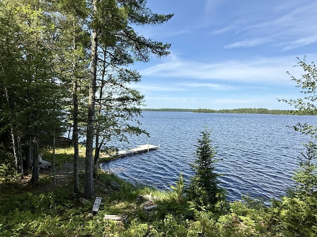 50 Call Of The Loon Ln, Princeton, ME 04694 - photo 87