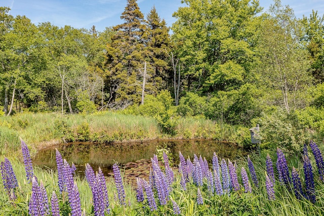 161 N Rd, Matinicus Isle Plt, ME 04851 - photo 6