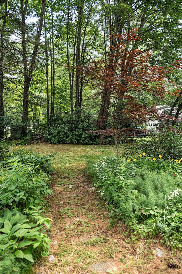 4 Acorn Ln, Windham, ME 04062 - photo 9