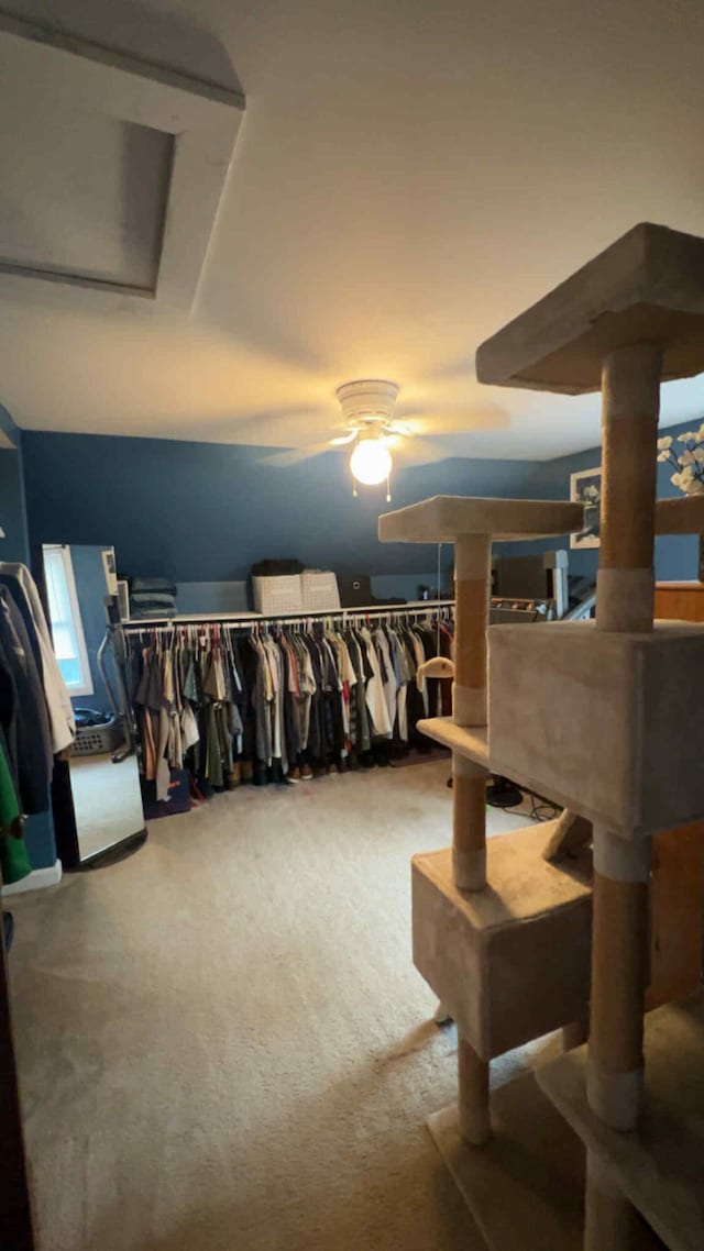 16 Federal St, Presque Isle, ME 04769 - photo 12