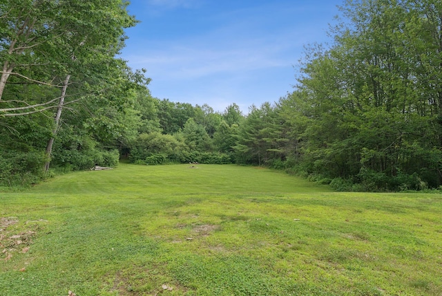 471 Methodist Rd, Westbrook, ME 04092 - view of green lawn with a wooded view