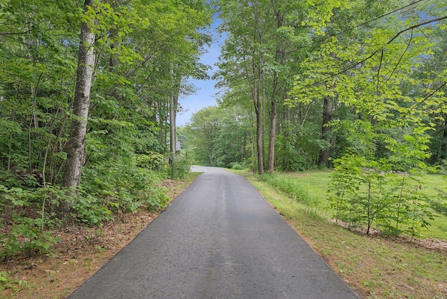 471 Methodist Rd, Westbrook, ME 04092 - view of street with a wooded view