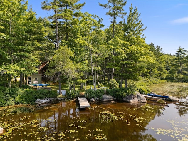 20 Neil Way, Orland, ME 04472 - photo 84