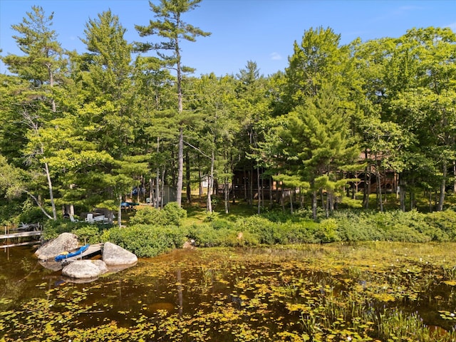 20 Neil Way, Orland, ME 04472 - photo 85