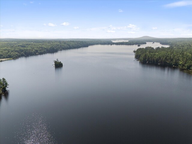 20 Neil Way, Orland, ME 04472 - photo 87
