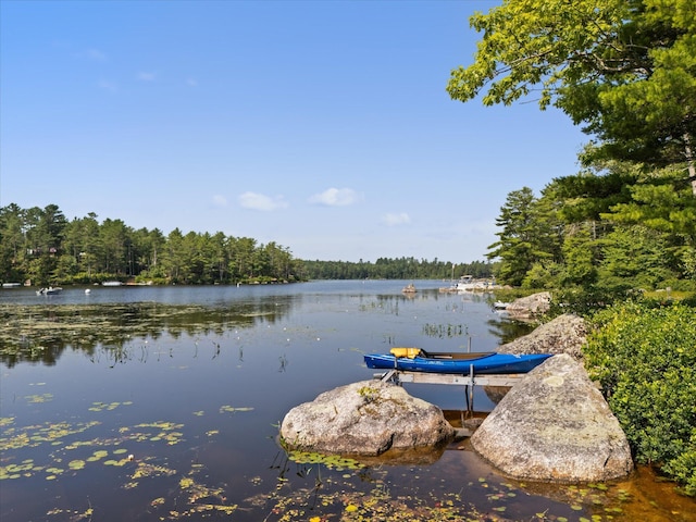 20 Neil Way, Orland, ME 04472 - photo 88
