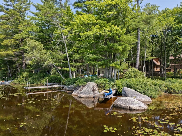 20 Neil Way, Orland, ME 04472 - photo 90