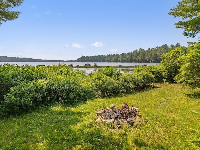 20 Neil Way, Orland, ME 04472 - photo 92