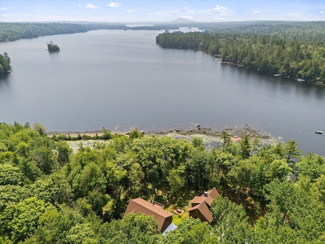 20 Neil Way, Orland, ME 04472 - photo 97