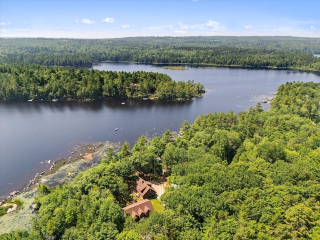 20 Neil Way, Orland, ME 04472 - photo 98