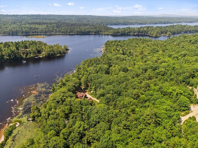 20 Neil Way, Orland, ME 04472 - photo 99