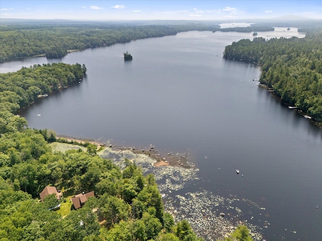 20 Neil Way, Orland, ME 04472 - photo 100