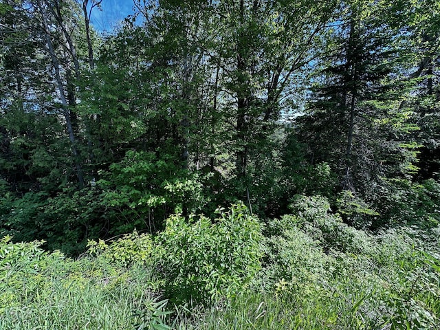 1288 S Perley Brook Rd, Fort Kent, ME 04743 - photo 6