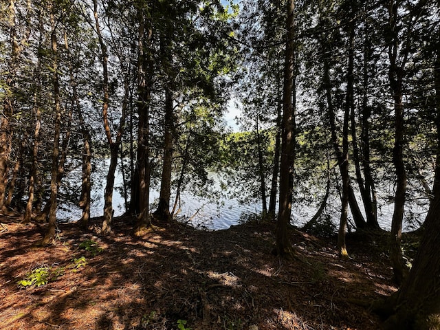1288 S Perley Brook Rd, Fort Kent, ME 04743 - photo 7