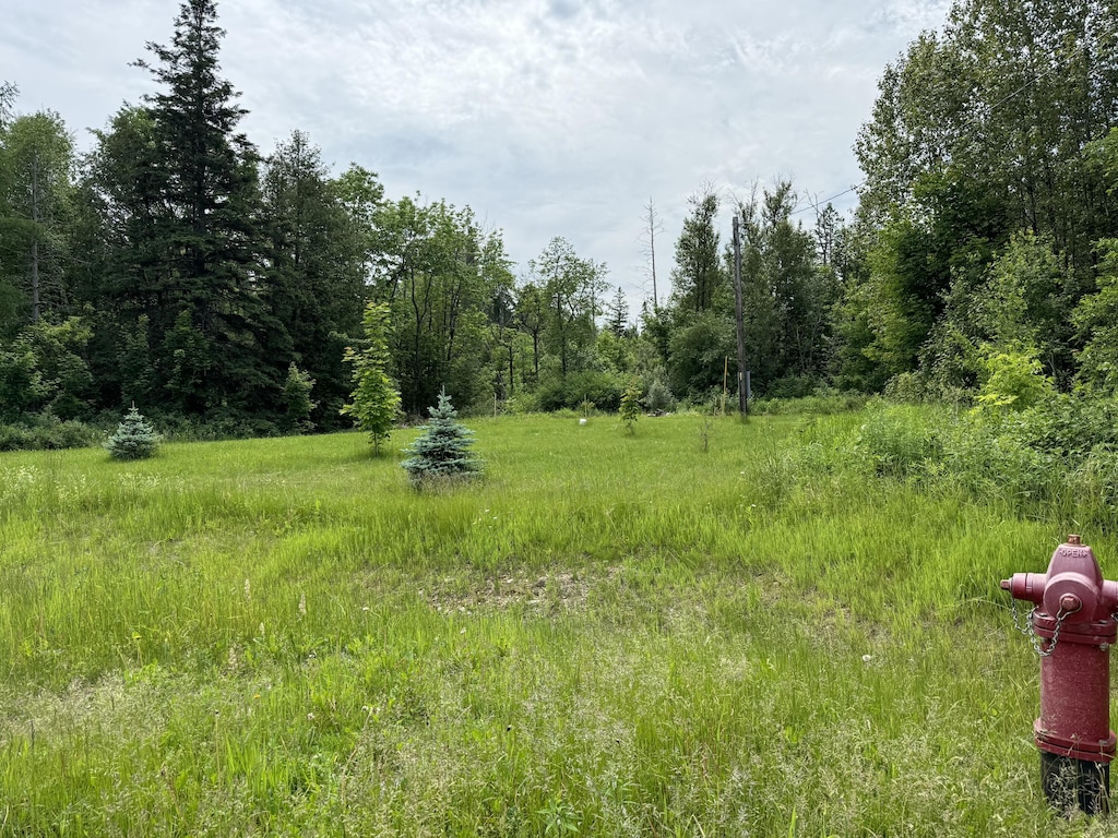 107 Robinson Rd, Blaine, ME 04734 - photo 3