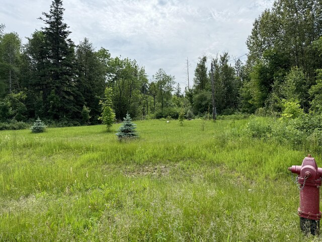 107 Robinson Rd, Blaine, ME 04734 - photo 3